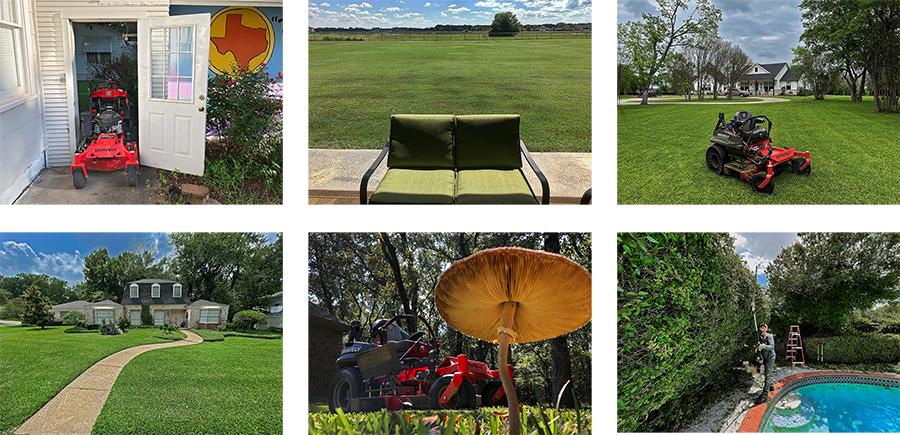 collage_larry-(1).png collage_larry-(1).png